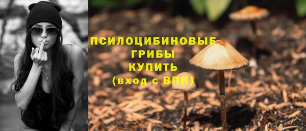 гидропоника Ростов