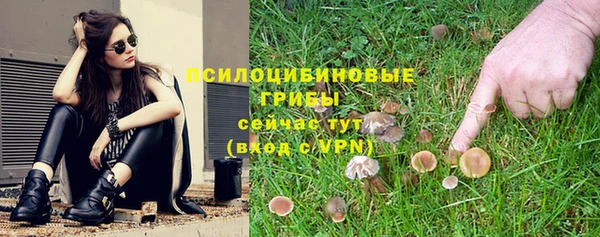 гидропоника Ростов