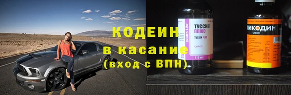прущие грибы Рославль