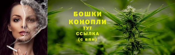 прущие грибы Рославль