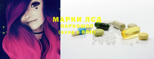 прущие грибы Рославль