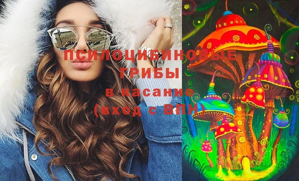 гидропоника Ростов