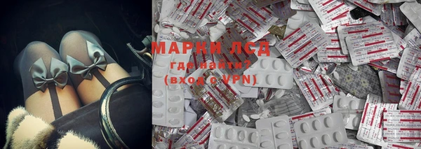прущие грибы Рославль