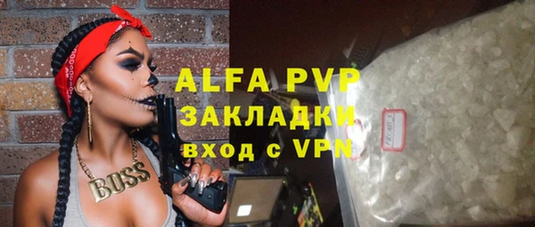 прущие грибы Рославль