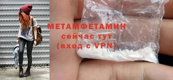 прущие грибы Рославль