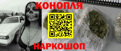 гашик Кинель