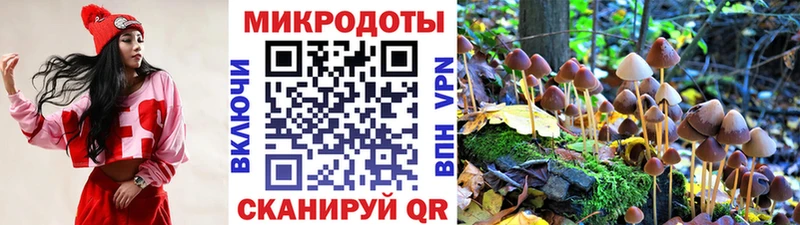 Галлюциногенные грибы Magic Shrooms  Татарск 