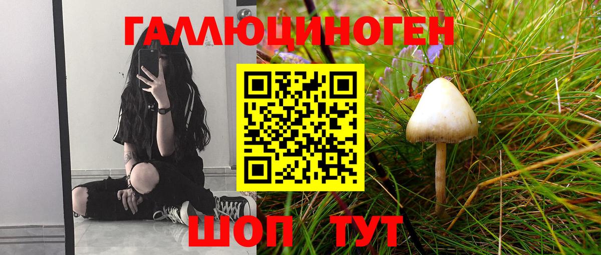 Татарск  Псилоцибиновые грибы мицелий  Галлюциногенные грибы мухоморы  Вход с VPN 